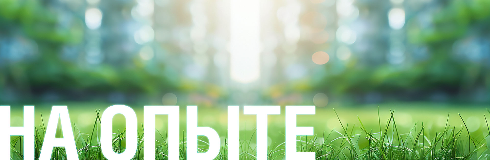 Как вы можете помочь решить проблему мусора?